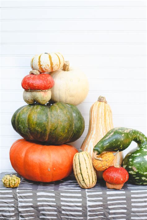 The Quick Guide To Fall Decorating With Gourds Squash And Pumpkins