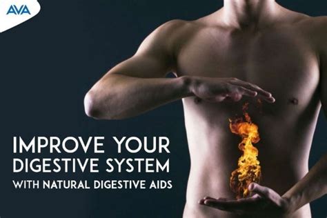 Improve Your Digestive System With Natural Digestive Aids