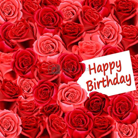 Happy Birthday Red Roses Hd