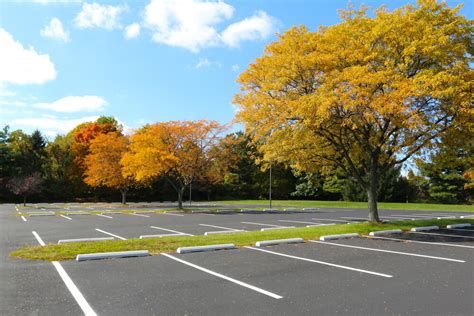 5 Ways To Make Your Parking Lot Eco Friendly