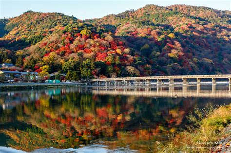 Autumn Foliage Discover Kyoto