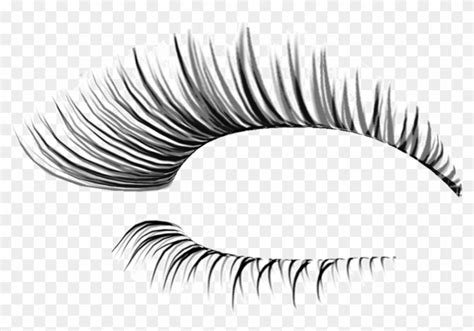 Download High Quality Eyelash Clipart Eye Lashes Transparent Png Images