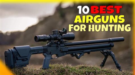 Top 10 Best Airguns For Hunting 2024 Youtube