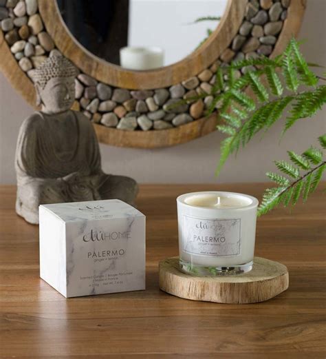 European Scented Candle Fig Leaf Sea Salt Vivaterra