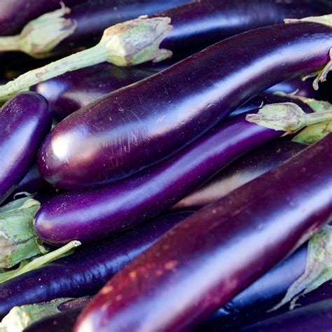 The Long Purple Is Just As Its Name Implies Excellent For Slicing And
