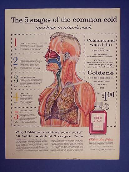 Coldenethe 5 Stages Of The Common Cold Print Advintage Magazine