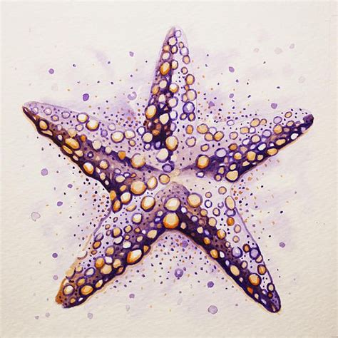 Purpura Starfish By William Love Starfish Art Starfish Painting