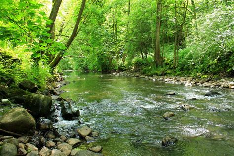 Bachufer Foto And Bild Landschaft Bach Fluss And See Natur Bilder Auf