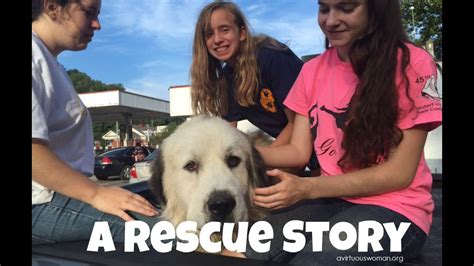 A Dog Rescue Story That Will Make You Happy Youtube