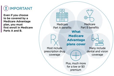 Simple Guide To Medicare Types Of Medicare Advantage Plans