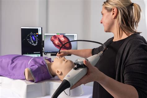 Echocardiography Simulator Intelligent Ultrasound