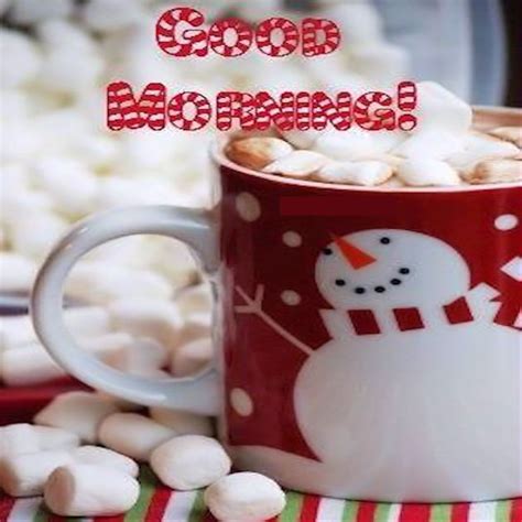 Cute Winter Good Morning Image Quote Pictures Photos And Images For