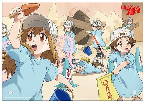Online Crop Hd Wallpaper Anime Cells At Work Platelet Cells At