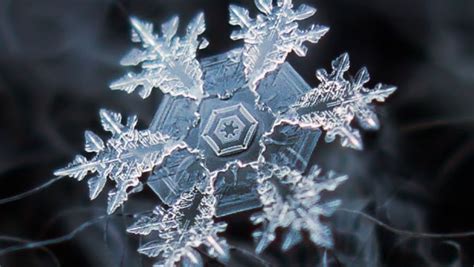 Snow Flake Snowflake Photography Amazing Macro Photography