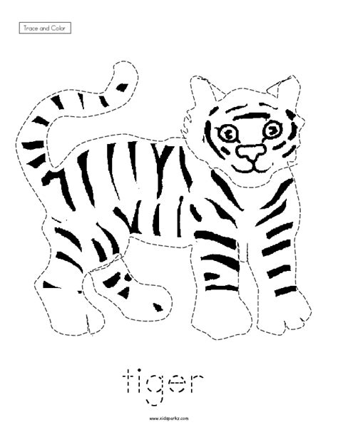 Trace And Color Tiger Worksheet For Pre K 1st Grade Lesson Planet