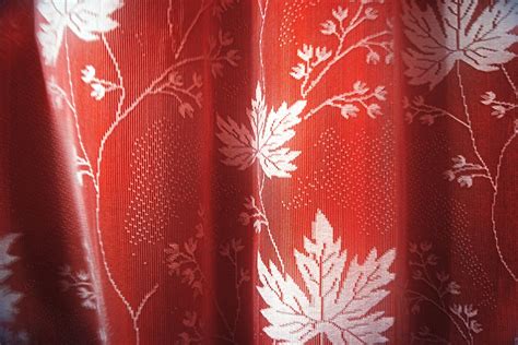 Floral Curtain 3 Free Stock Photo Public Domain Pictures