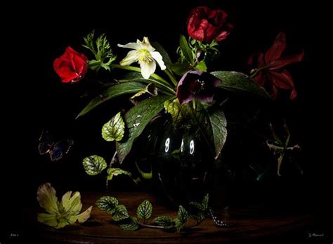 Floral Still Life Photography On Behance Снимки натюрмортов Жизнь