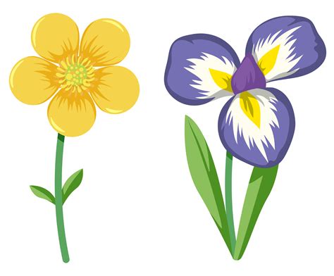 Flower Clipart Set Vector Illustration 10996424 Vector Art At Vecteezy Images And Photos Finder
