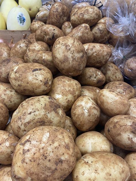 Potato Sebago Loose Greengrocers Pantry