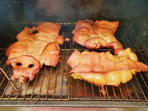 How To Smoke Pig Snoots Grillinfools