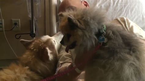 Wisconsin Man Reunited With Lost Dogs After Deadly Chetek Tornado The