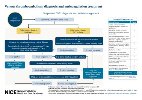 DVT Flow Chart