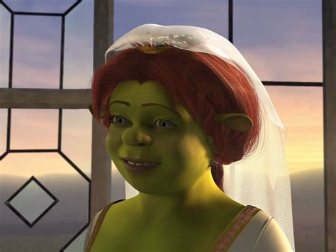 Pin De Danielle Em Princess Fiona Shrek Memes Engraçado Sherk Memes