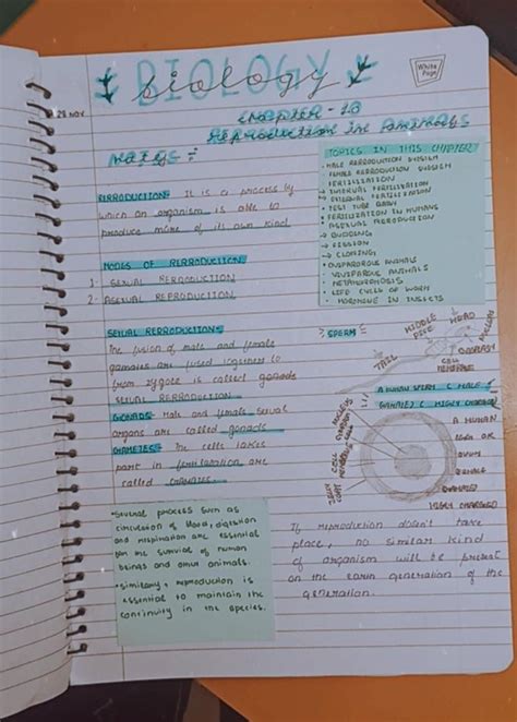 Aesthetic Notes Science Notes Biology Notes Study Flashcards