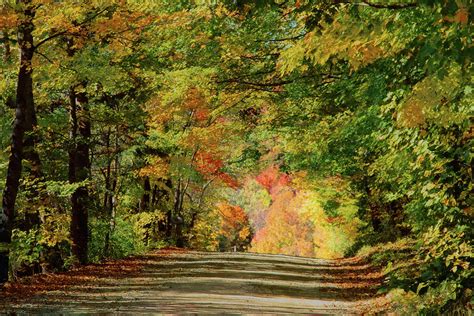 Vermont Country Road Under Fall Colors Photograph By Jeff