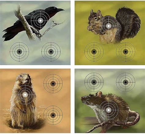 11 best bb gun targets in 2021 air rifle targets marine approved
