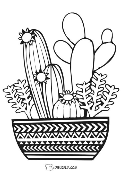 Maceta Con Cactus Variados Dibujo Dibujalia Dibujos Para Colorear Y Recursos Educativos