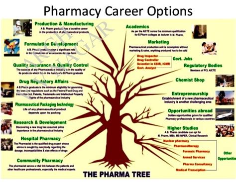 Career In Pharmacy