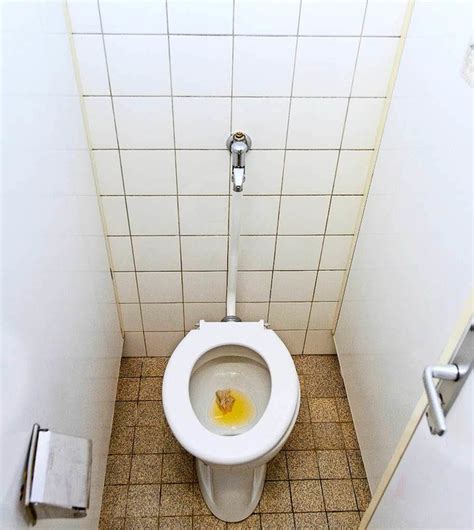 Einfach Zu Bedienen Beeinflussen Saga Ab Wieviel Sitzplätzen Braucht Man Toilette Pearly