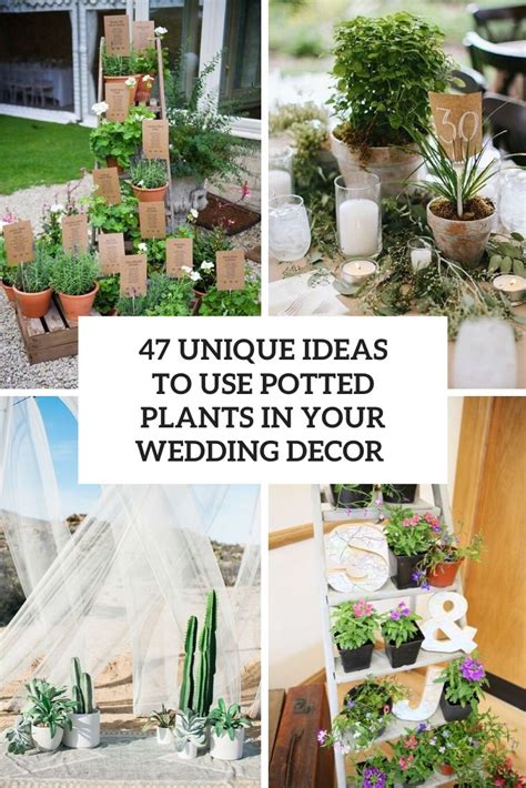 Decorating Flower Pots For Weddings Home Alqu
