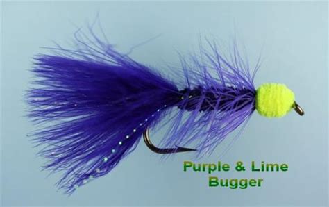 Purple N Lime Egg Sucking Leech Fly Fishing Flies With Fish4flies Uk