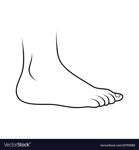 Foot Icon Outline Design Isolated On White Vector Image