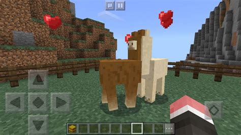 How Do You Lure Llamas In Minecraft Rankiing Wiki Facts Films