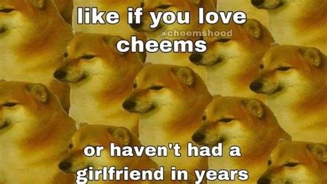 Pin By Kusikvi On Cheems Memes Doge Cursed Images