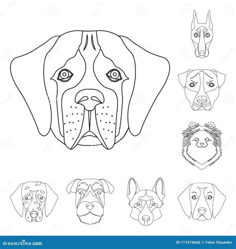 Dog Breeds Outline Icons In Set Collection For Designmuzzle Of A Dog