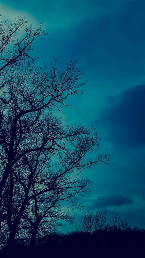 Night Tree Cloud Skull Moonlight Sunshine Blue Dark Gris Hd