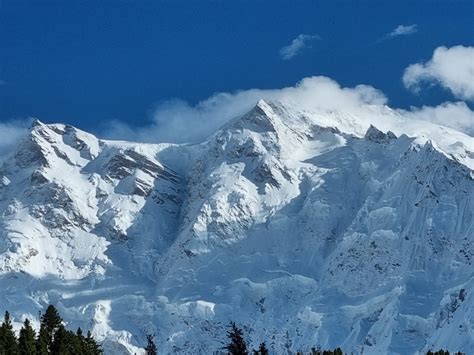 A Snowy Mountain With Trees Photo Free Nanga Parbat Image On Unsplash