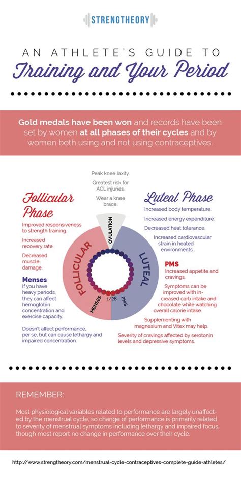 Female Reproductive Cycle Timeline