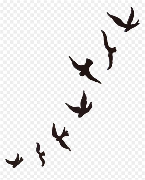Flying Bird Silhouette Tattoo Png Passaros Png Transparent Png Vhv