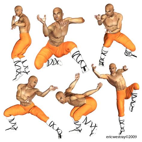 20 Kung Fu Poses For M4 Poses Kung Fu Martial Arts Kung Fu