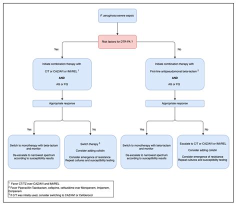 Antibiotics | Free Full-Text | Antimicrobial Treatment of Pseudomonas