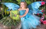 Frequently Asked Questions Enchanted Fairies