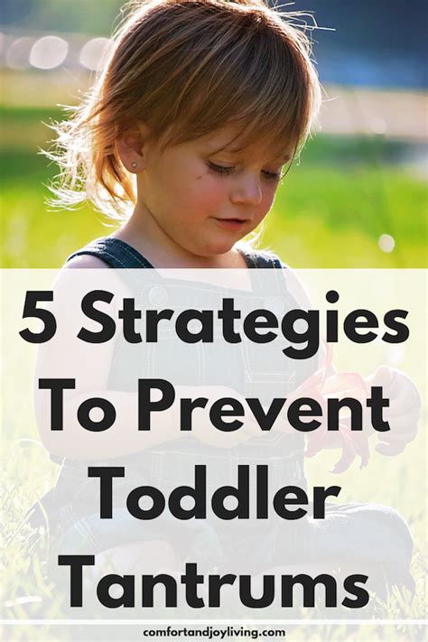 5 Strategies To Prevent Toddler Tantrums