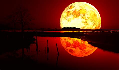 2560x1440 Resolution Blood Moon 1440p Resolution Wallpaper Wallpapers Den