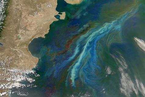 Patagonia Phytoplankton Bloom Image Eurekalert Science News Releases