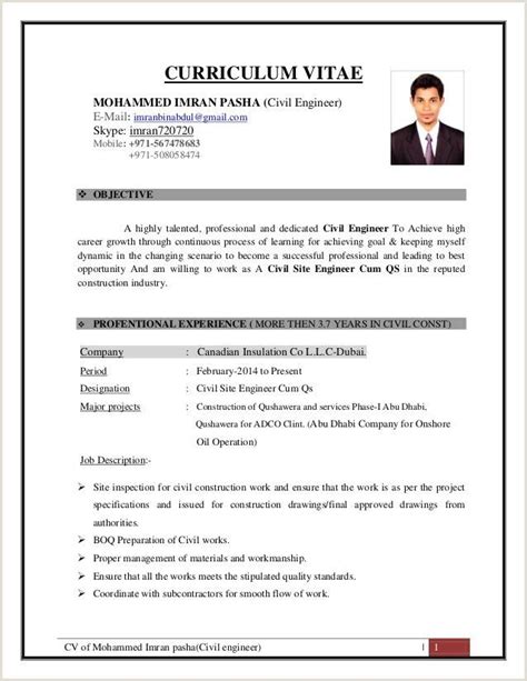 Resume Format Download In Ms Word In India
